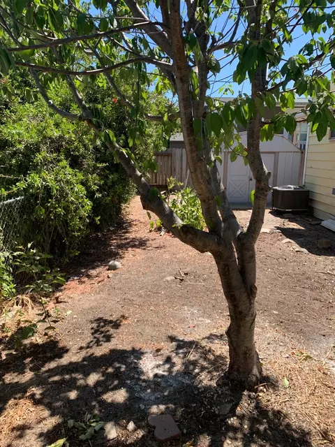 2121 Viking Ln, Modesto, CA 95350 photo 23