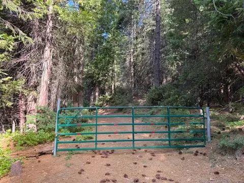 13264 Diamond Creek Rd, Nevada City, CA 95959