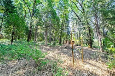 Exterior - 10225 Elder Dr, Grass Valley, CA 95949 photo 22 of 32