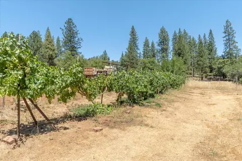 2660 Independence Rd, Glencoe, CA 95232 photo 32