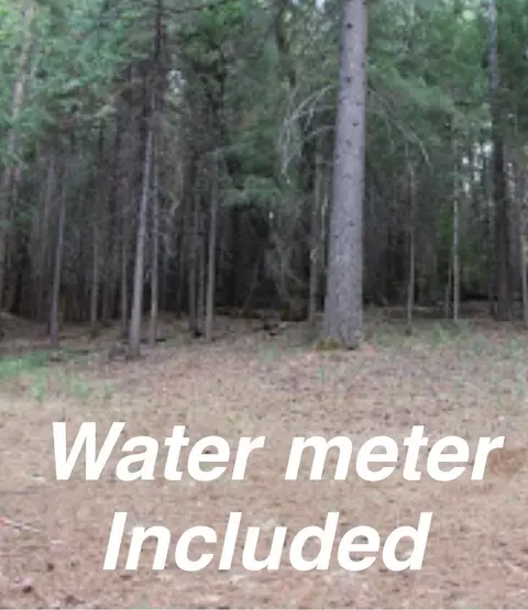 5511 Shooting Star Rd, Pollock Pines, CA 95726