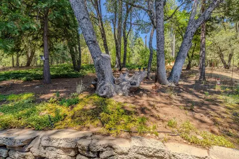 25804 Aspen Ct, Volcano, CA 95689 photo 3
