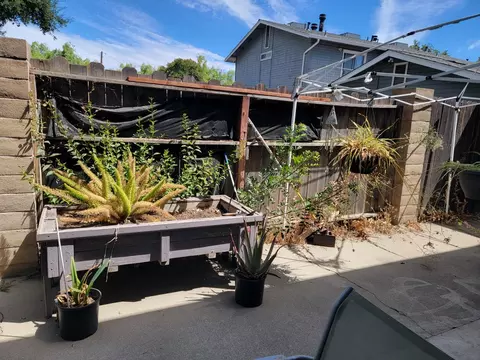 720 Brighton Ave, Modesto, CA 95355 photo 19