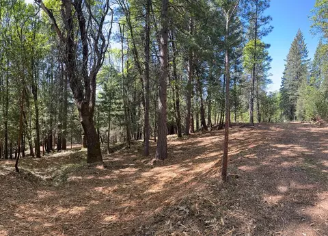 10950 Banning Way, Nevada City, CA 95959