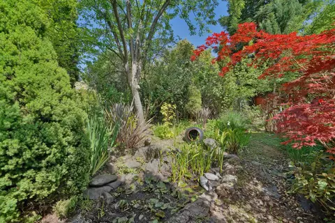 6556 Gold Hill Rd, Placerville, CA 95667 photo 48