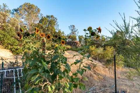 23398 Soili Rd, Grass Valley, CA 95949 photo 14