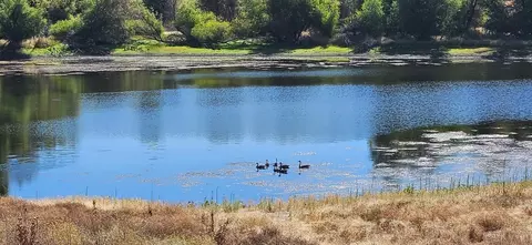 View/Area - 17 Chukar Dr, Wallace, CA 95254 photo 22 of 22