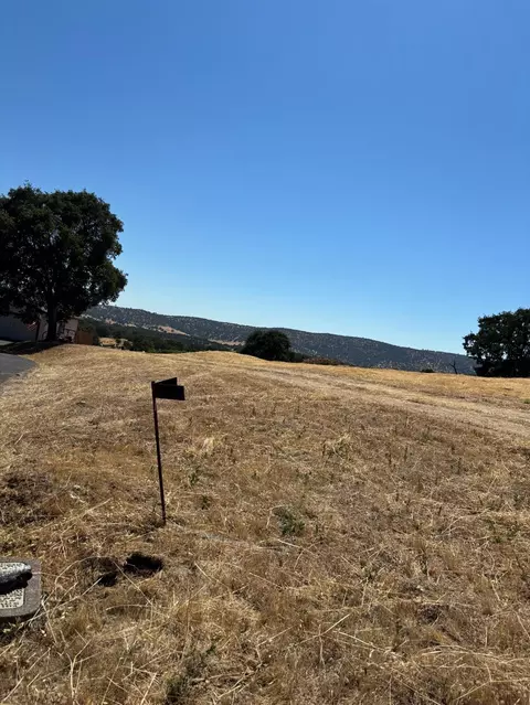 3146 Arrowhead, Copperopolis, CA 95228 photo 12