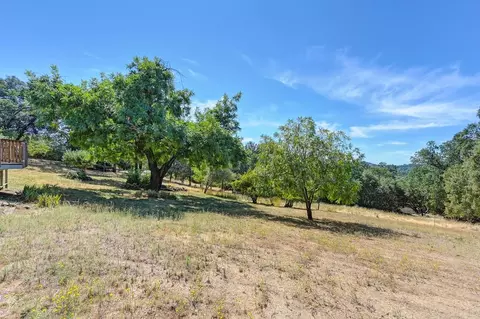 2007 Heather Hill Rd, Placerville, CA 95667 photo 35