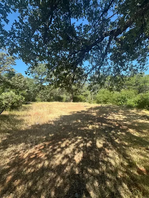 17232 Golden Arrow Trl, Rackerby, CA 95972