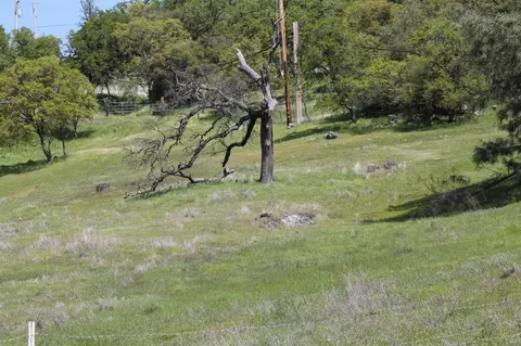 4645 Luneman Rd, Placerville, CA 95667 photo 21