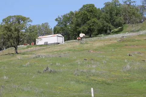 4645 Luneman Rd, Placerville, CA 95667 photo 22