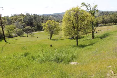 4645 Luneman Rd, Placerville, CA 95667 photo 27