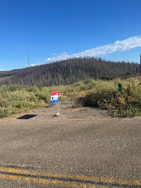 0 Grizzly Flat Rd, Grizzly Flats, CA 95636