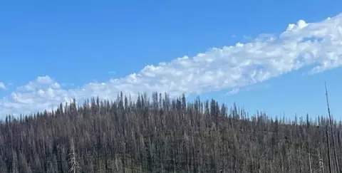 0 Grizzly Flat Rd, Grizzly Flats, CA 95636