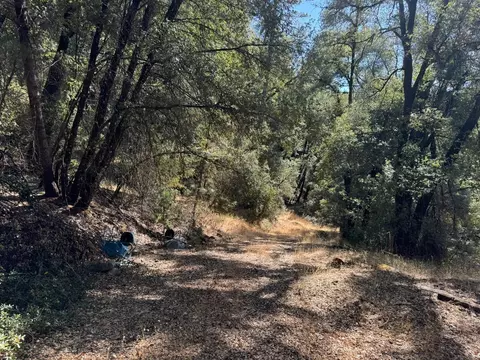 15539 Norvin Way, Grass Valley, CA 95949 photo 9