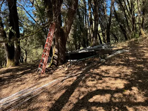 15539 Norvin Way, Grass Valley, CA 95949 photo 11