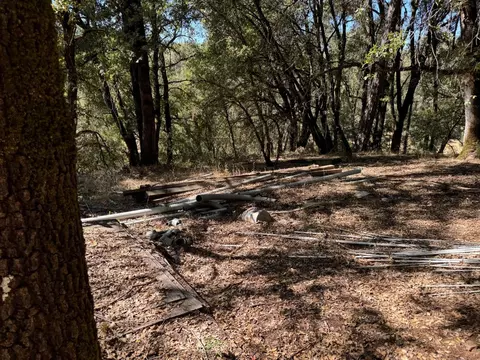 15539 Norvin Way, Grass Valley, CA 95949 photo 3