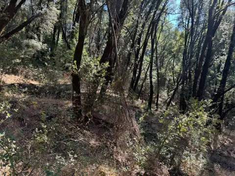 15539 Norvin Way, Grass Valley, CA 95949 photo 6