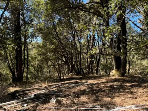 15539 Norvin Way, Grass Valley, CA 95949 photo 10