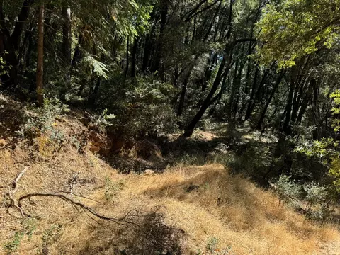 15539 Norvin Way, Grass Valley, CA 95949 photo 12