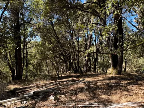 15539 Norvin Way, Grass Valley, CA 95949 photo 2