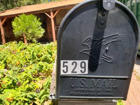 529 Packard, Grass Valley, CA 95945 photo 15
