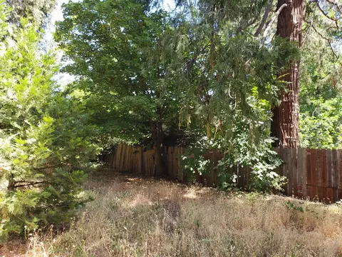 529 Packard, Grass Valley, CA 95945 photo 11