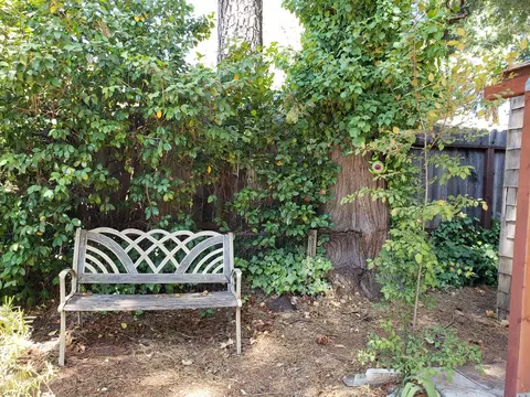 529 Packard, Grass Valley, CA 95945 photo 14