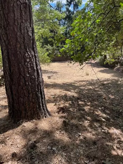 11277 Edward Dr, Grass Valley, CA 95949 photo 5