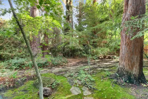 602 Oak Ave, Davis, CA 95616 photo 47
