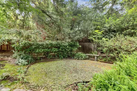 602 Oak Ave, Davis, CA 95616 photo 46