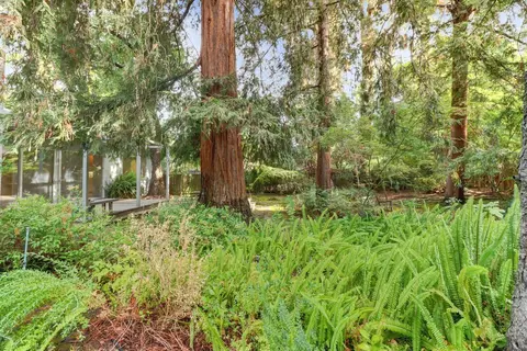 602 Oak Ave, Davis, CA 95616 photo 39