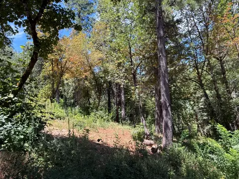 12261 E Bennett Rd, Grass Valley, CA 95945 photo 33
