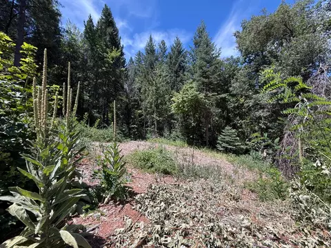 12261 E Bennett Rd, Grass Valley, CA 95945 photo 35