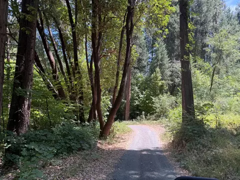 12261 E Bennett Rd, Grass Valley, CA 95945 photo 2