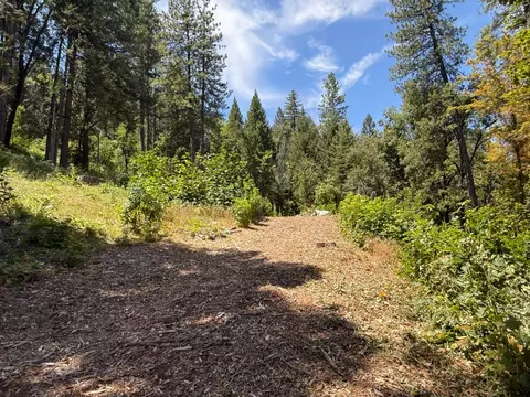 12261 E Bennett Rd, Grass Valley, CA 95945 photo 31