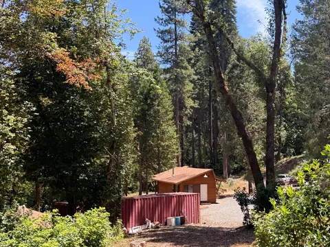 12261 E Bennett Rd, Grass Valley, CA 95945 photo 34