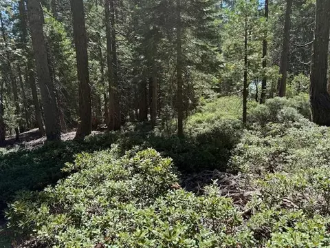 2780 Cedarview Ct, Strawberry Valley, CA 95981