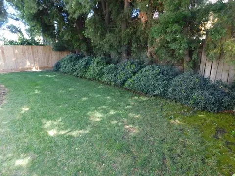 2504 Manor Oak Dr, Modesto, CA 95355 photo 11