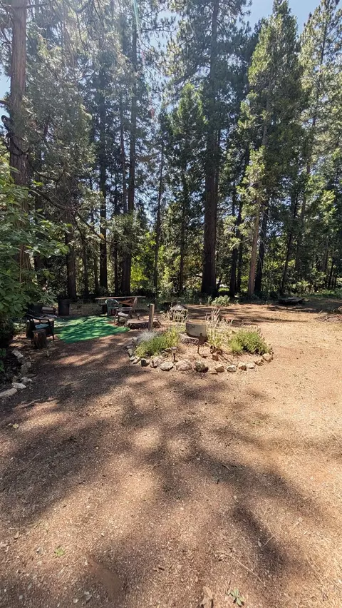 3131 Brauer Rd, Georgetown, CA 95634 photo 15