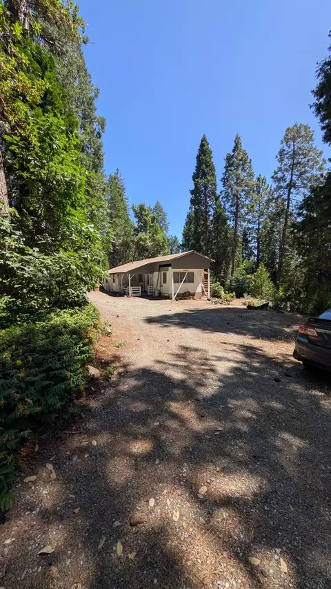 3131 Brauer Rd, Georgetown, CA 95634 photo 22