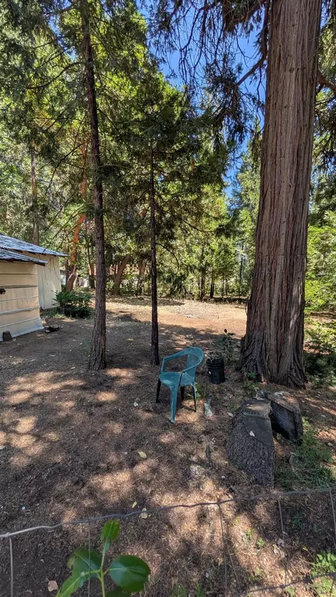 3131 Brauer Rd, Georgetown, CA 95634 photo 16