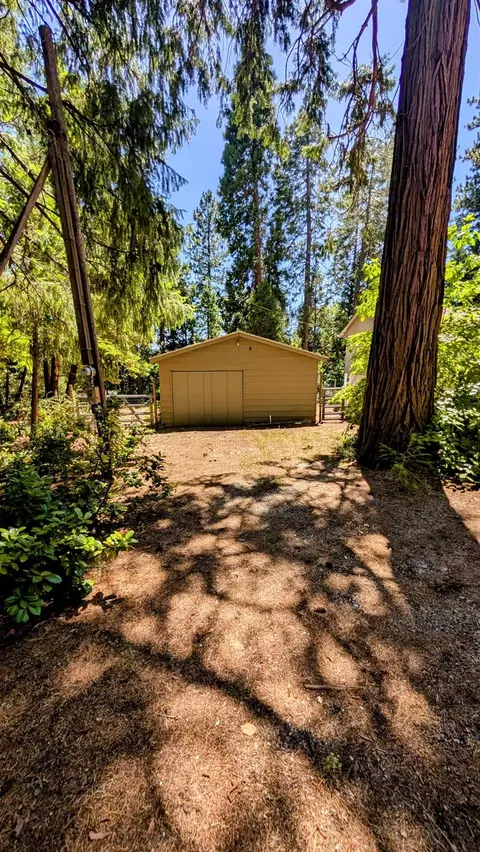 3131 Brauer Rd, Georgetown, CA 95634 photo 18