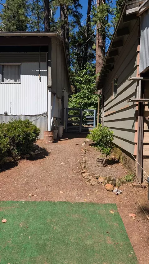 3131 Brauer Rd, Georgetown, CA 95634 photo 19