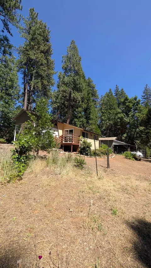 3131 Brauer Rd, Georgetown, CA 95634 photo 23