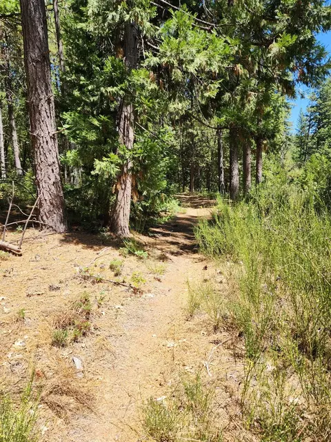 10938 Cole Way, Grass Valley, CA 95945 photo 3