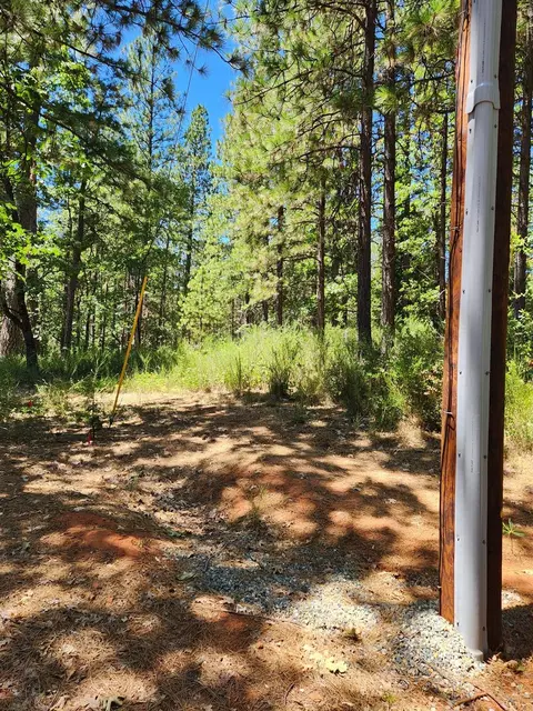 10938 Cole Way, Grass Valley, CA 95945 photo 2