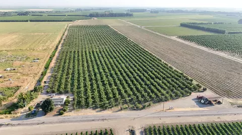 787 W Sutter Island Cross Rd, Courtland, CA 95615