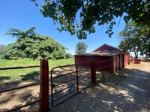 Exterior - 423 Hogue Rd, Modesto, CA 95356 photo 5 of 7